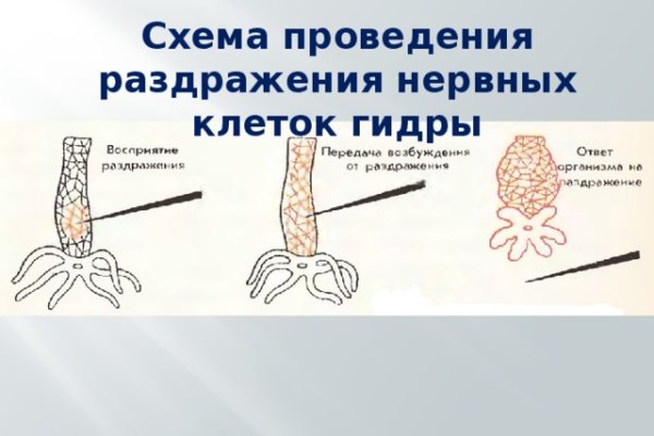 Kraken зеркало рабочее