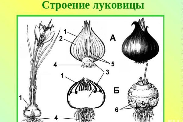 Кракен ссылка тор