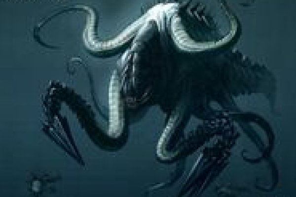 Kraken домен
